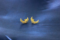 Luna Crystal Crescent Moon Stud Earrings